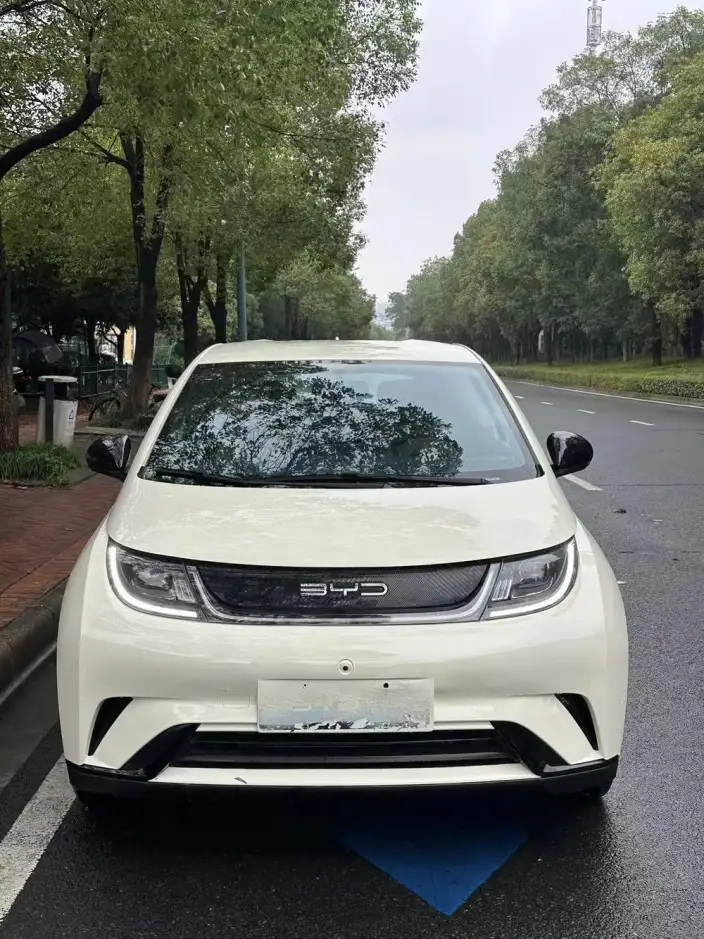 BYD Dolphin 2025 Model 420KM Vitality Edition