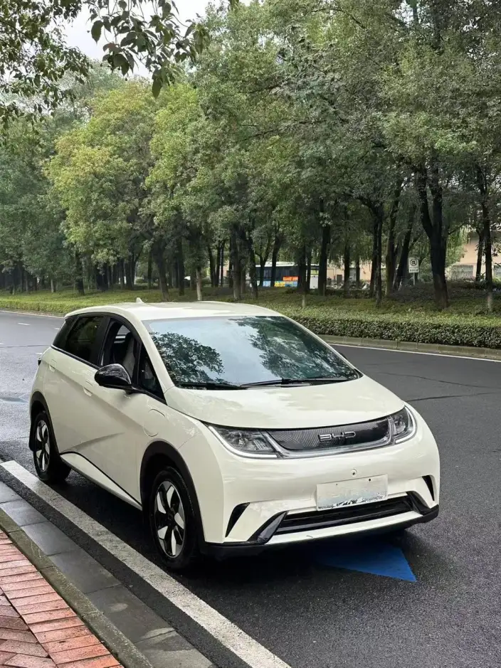BYD Dolphin 2025 Model 420KM Vitality Edition