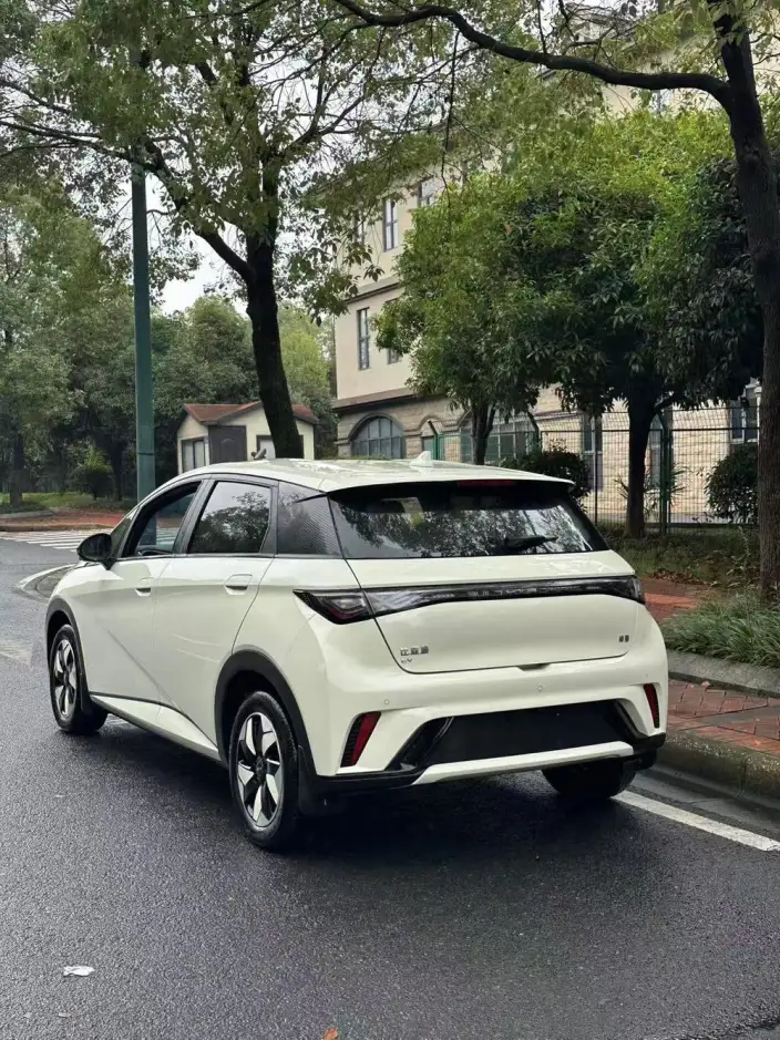BYD Dolphin 2025 Model 420KM Vitality Edition