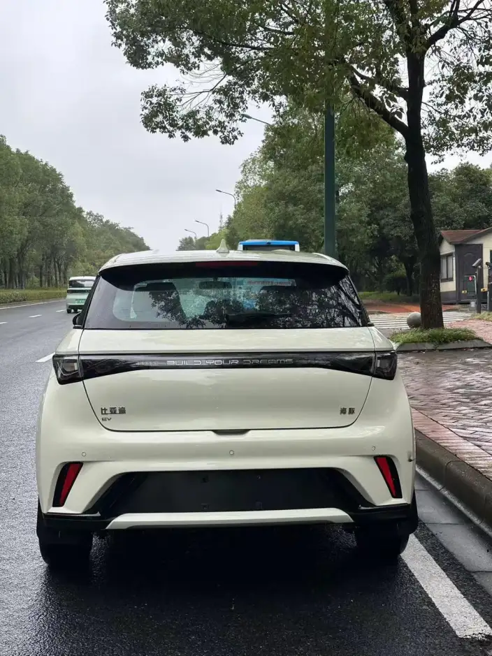 BYD Dolphin 2025 Model 420KM Vitality Edition – фото 5