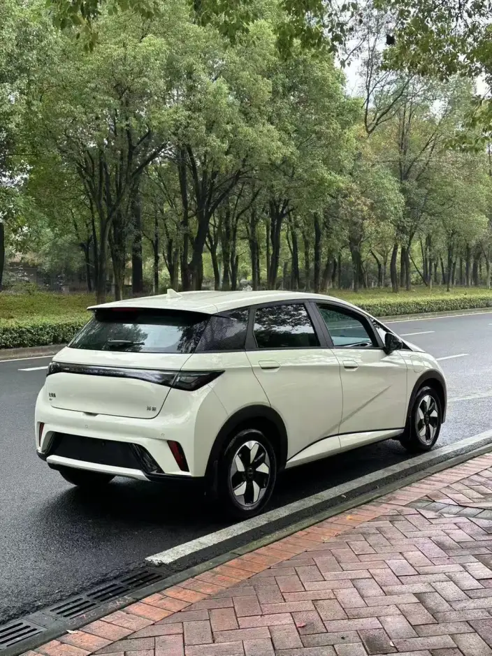 BYD Dolphin 2025 Model 420KM Vitality Edition – фото 6