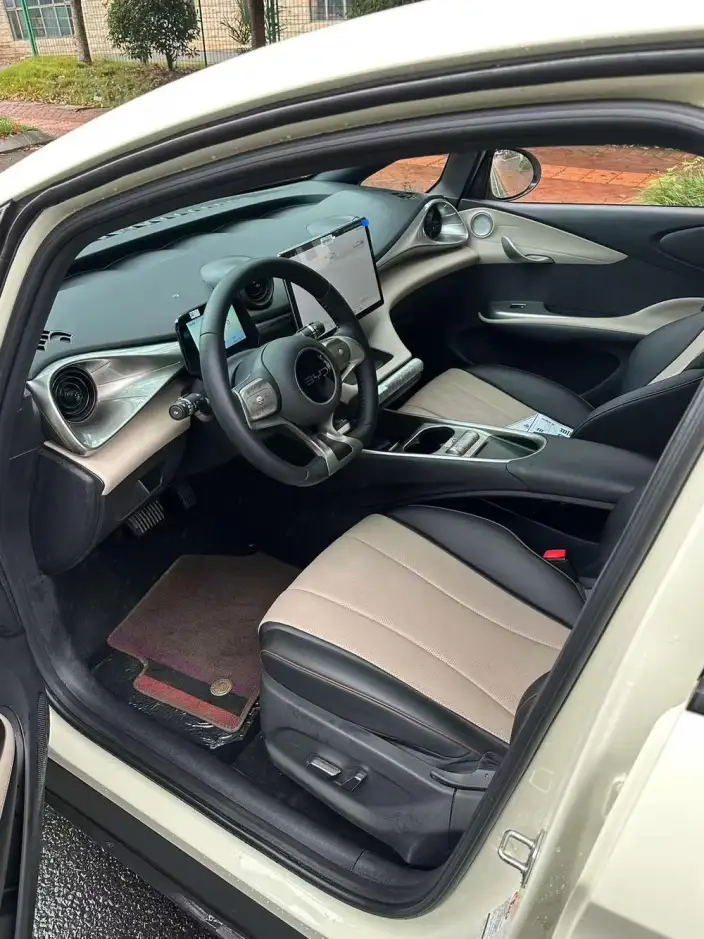 BYD Dolphin 2025 Model 420KM Vitality Edition – фото 8