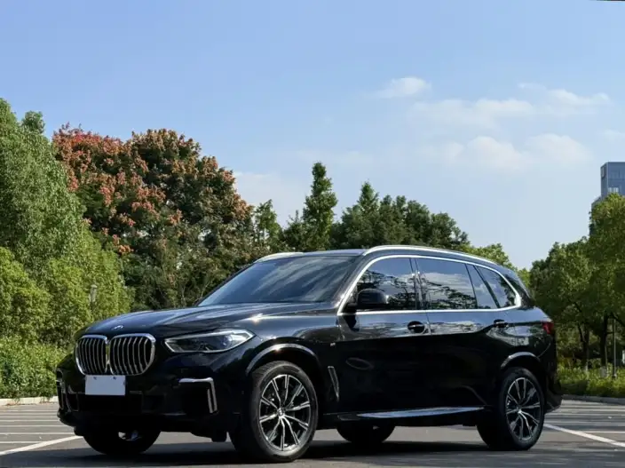 BMW X5 2022 Model Facelift xDrive 30Li Exclusive Model M Sports Set
