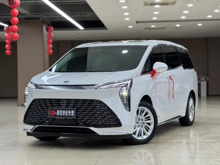 Century 2023 Model 2.0T VI seat Yunshi Edition – фото 1