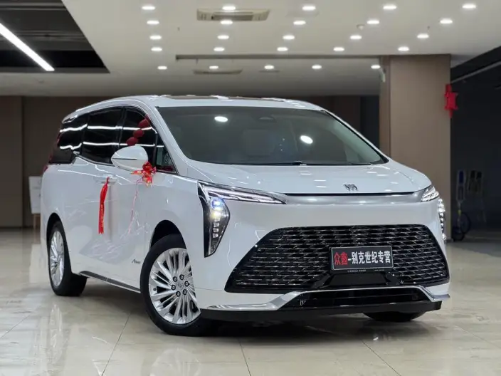 Century 2023 Model 2.0T VI seat Yunshi Edition – фото 3