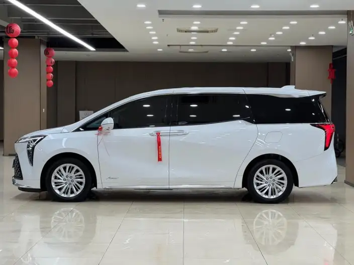 Century 2023 Model 2.0T VI seat Yunshi Edition – фото 4