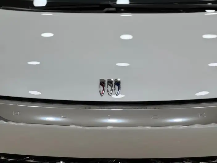 Century 2023 Model 2.0T VI seat Yunshi Edition – фото 8