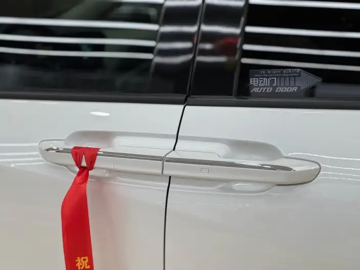 Century 2023 Model 2.0T VI seat Yunshi Edition – фото 9