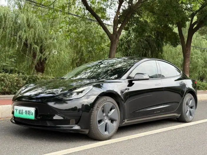 Model 3 2022 Model Rear-wheel drive version
