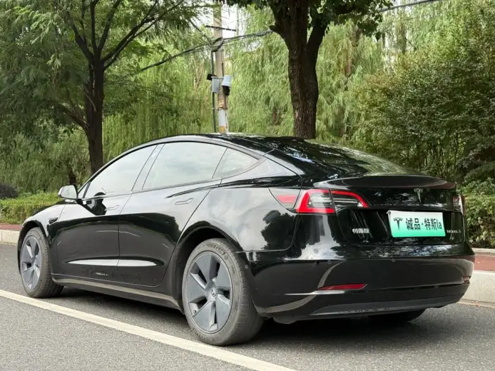 Model 3 2022 Model Rear-wheel drive version – фото 5