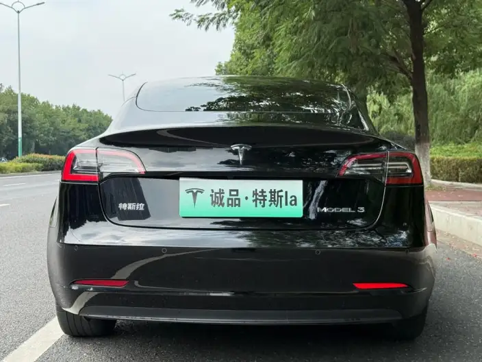 Model 3 2022 Model Rear-wheel drive version – фото 6