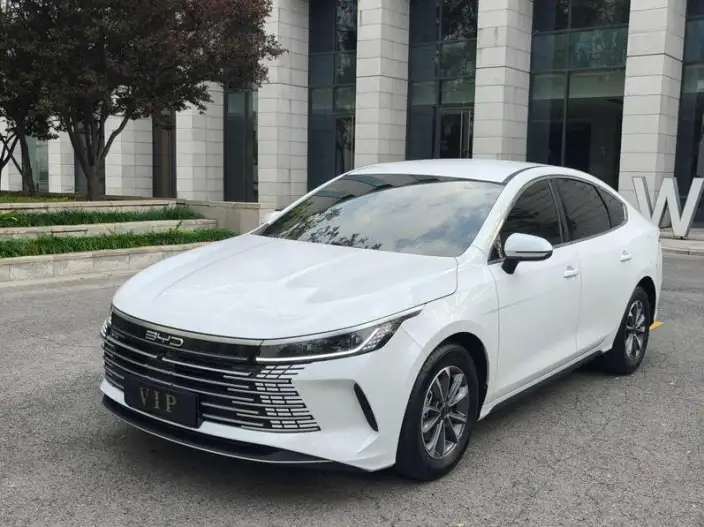 BYD Destroyer 05 2024 Model Honor Edition DM-i 55KM Luxury Model