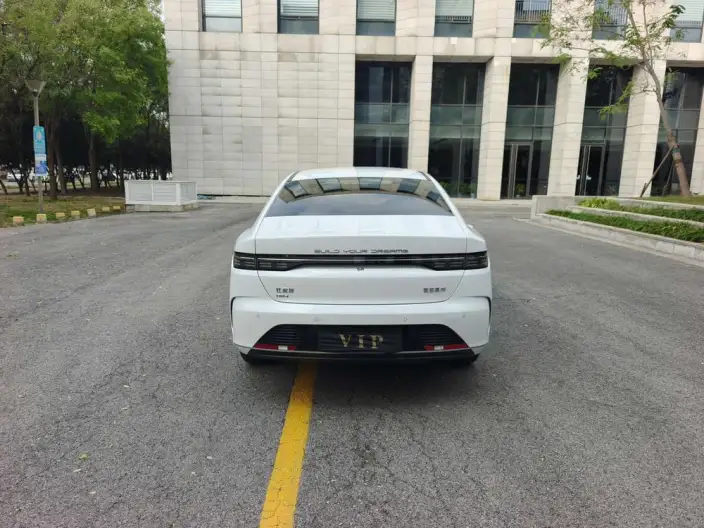 BYD Destroyer 05 2024 Model Honor Edition DM-i 55KM Luxury Model – фото 5