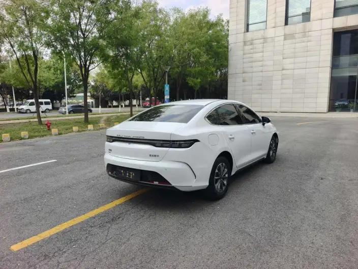 BYD Destroyer 05 2024 Model Honor Edition DM-i 55KM Luxury Model – фото 6