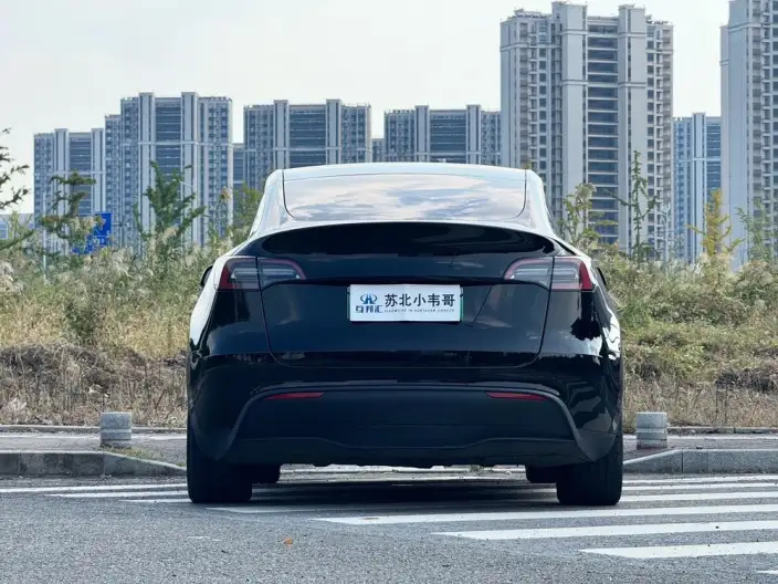 Model Y 2022 Model Facelift Rear-wheel drive version – фото 5