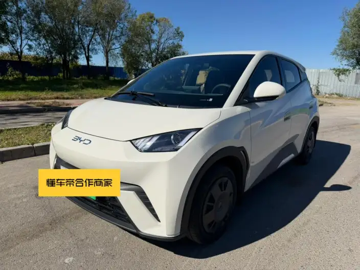 BYD Seagull 2024 Model Honor Edition 305KM Vitality Edition