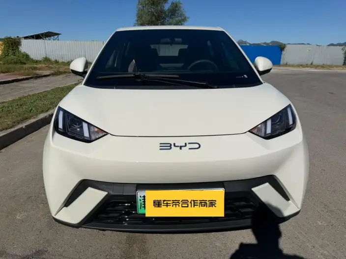 BYD Seagull 2024 Model Honor Edition 305KM Vitality Edition