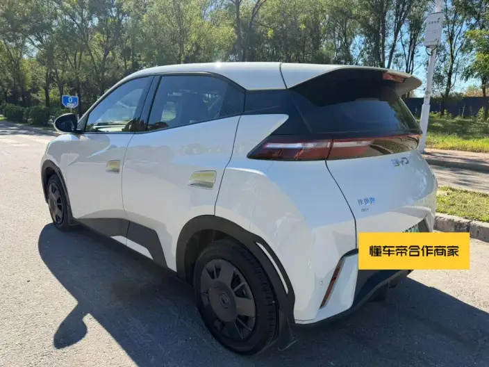 BYD Seagull 2024 Model Honor Edition 305KM Vitality Edition