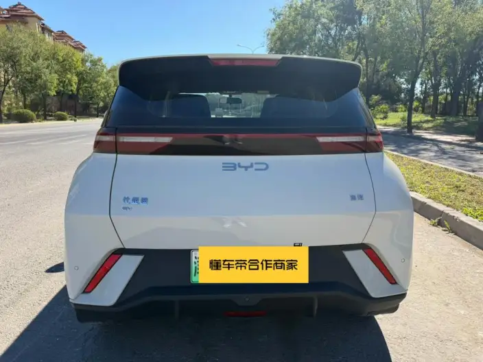 BYD Seagull 2024 Model Honor Edition 305KM Vitality Edition – фото 5