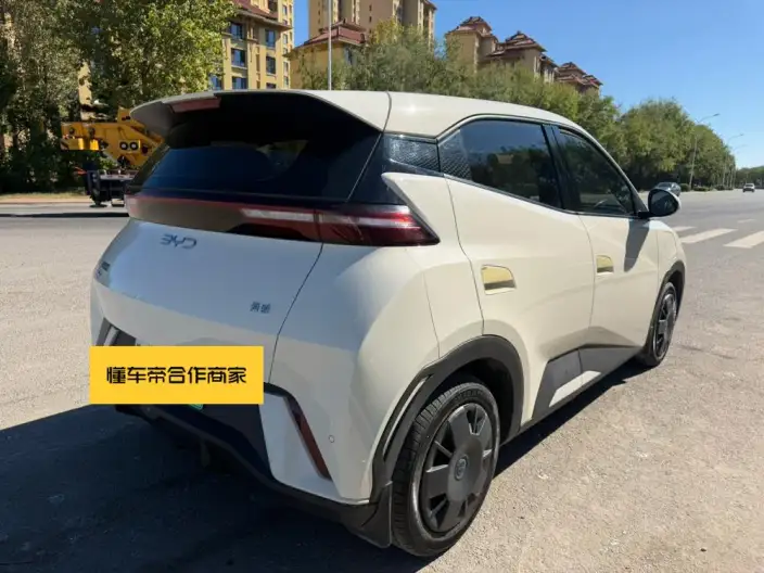 BYD Seagull 2024 Model Honor Edition 305KM Vitality Edition – фото 6