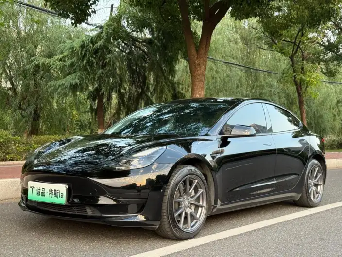 Model 3 2022 Model Rear-wheel drive version