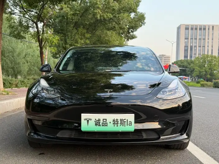 Model 3 2022 Model Rear-wheel drive version