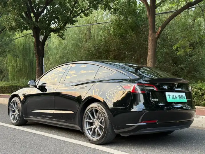 Model 3 2022 Model Rear-wheel drive version – фото 5