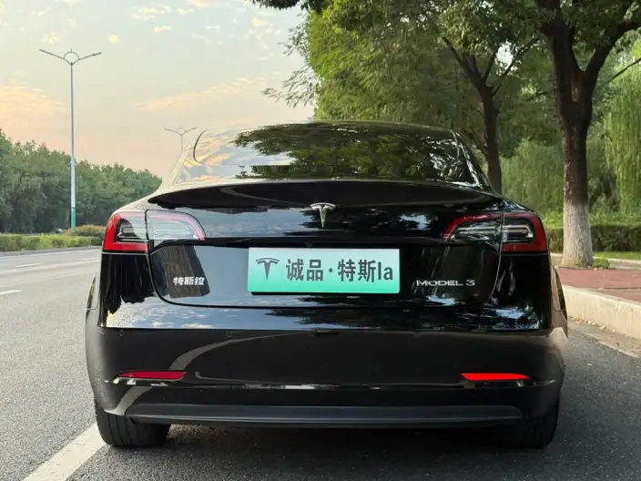 Model 3 2022 Model Rear-wheel drive version – фото 6