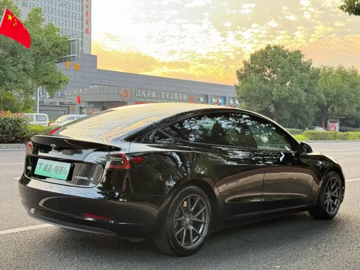 Model 3 2022 Model Rear-wheel drive version – фото 7