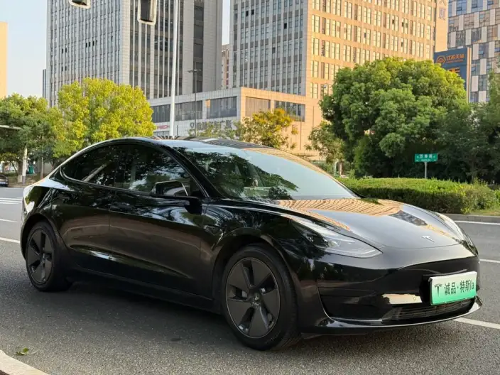 Model 3 2022 Model Rear-wheel drive version