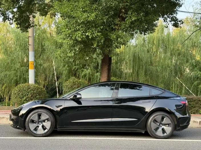 Model 3 2022 Model Rear-wheel drive version