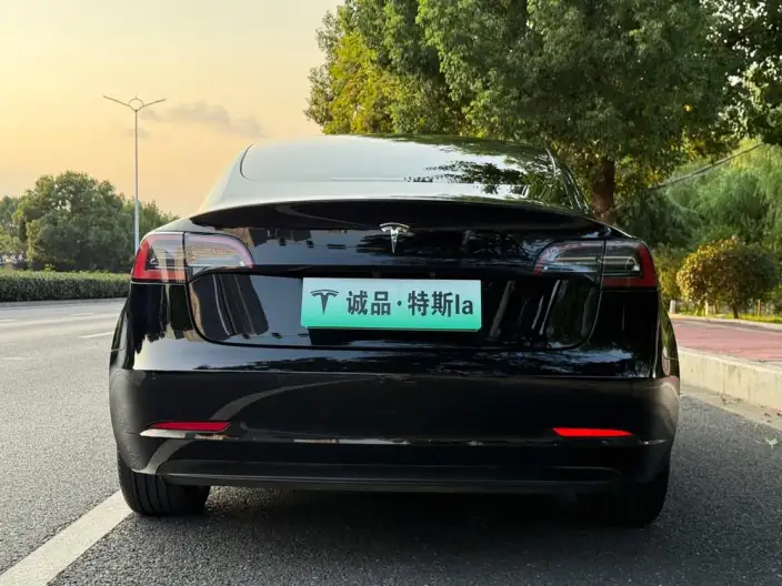 Model 3 2022 Model Rear-wheel drive version – фото 6