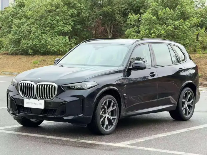 BMW X5 2023 Model xDrive30Li Exclusive Model M Sports Night Set – фото 1