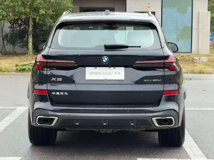 BMW X5 2023 Model xDrive30Li Exclusive Model M Sports Night Set – фото 5