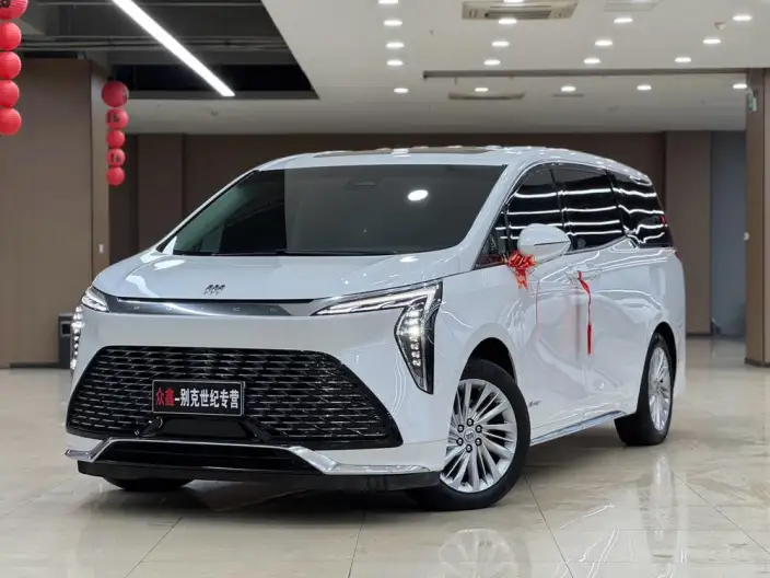 Century 2023 Model 2.0T VII seat Yunshi Edition – фото 1