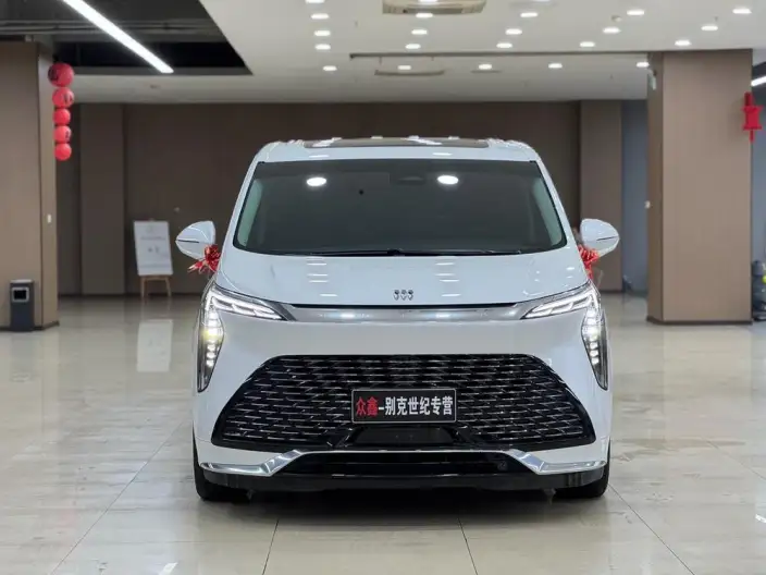 Century 2023 Model 2.0T VII seat Yunshi Edition – фото 2