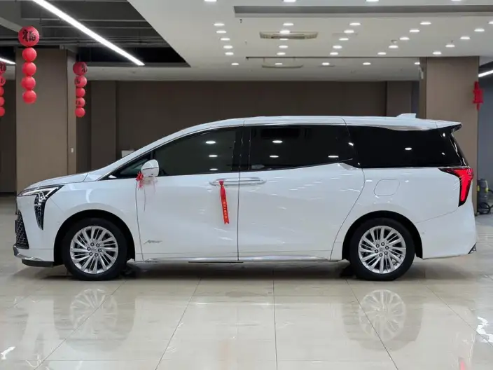 Century 2023 Model 2.0T VII seat Yunshi Edition – фото 4