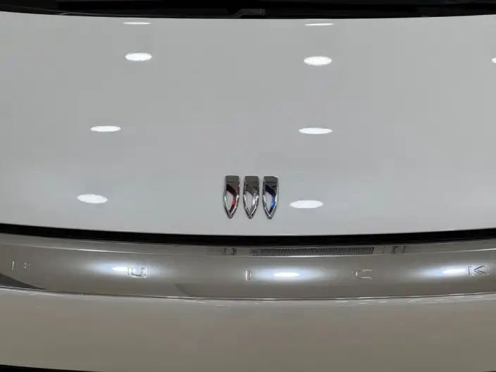 Century 2023 Model 2.0T VII seat Yunshi Edition – фото 8