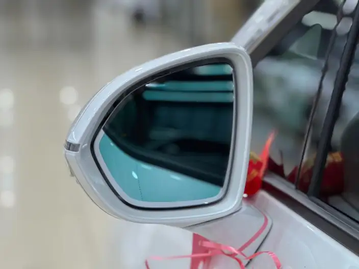 Century 2023 Model 2.0T VII seat Yunshi Edition – фото 9