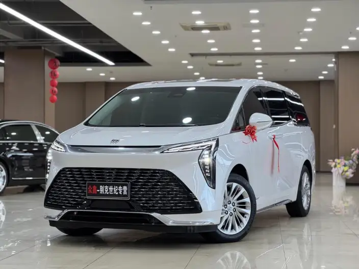 Century 2023 Model 2.0T VI seat Yunshi Edition – фото 1