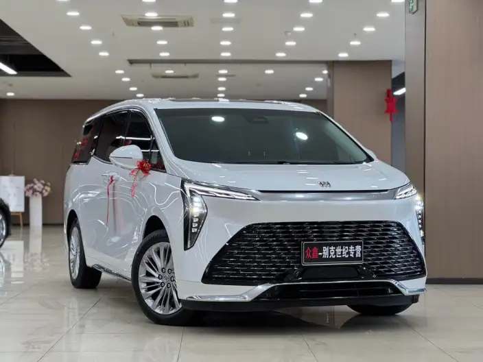 Century 2023 Model 2.0T VI seat Yunshi Edition – фото 3