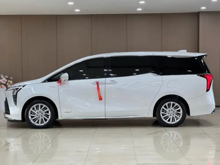 Century 2023 Model 2.0T VI seat Yunshi Edition – фото 4