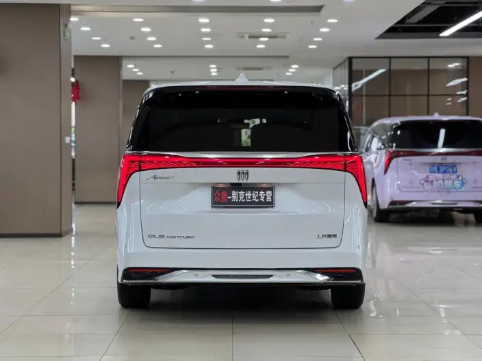 Century 2023 Model 2.0T VI seat Yunshi Edition – фото 5