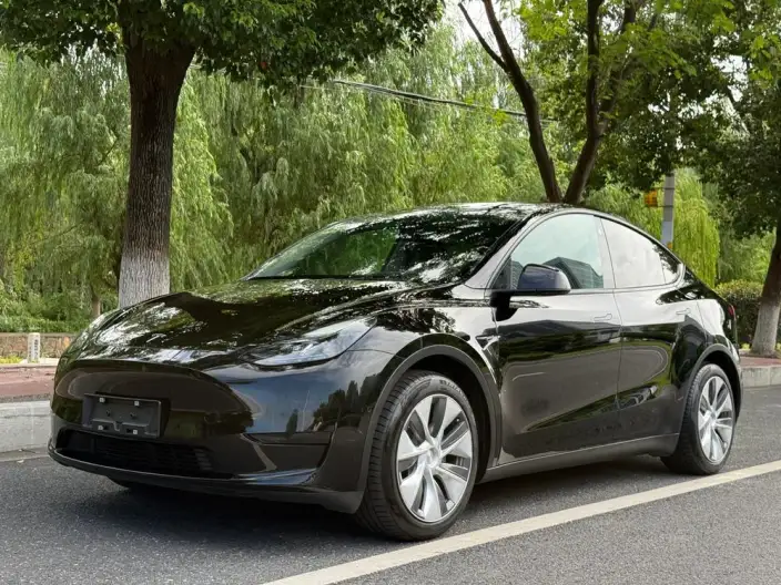 Model Y 2022 Model Facelift Rear-wheel drive version