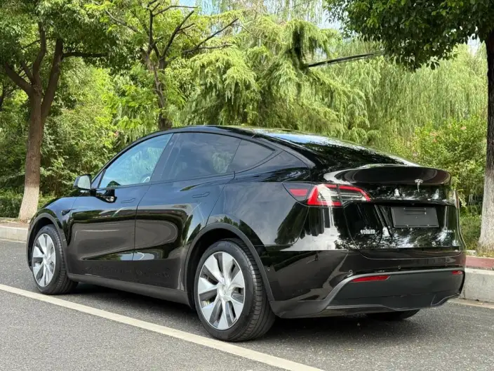Model Y 2022 Model Facelift Rear-wheel drive version – фото 5