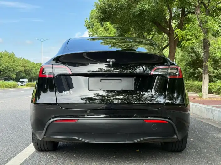 Model Y 2022 Model Facelift Rear-wheel drive version – фото 6