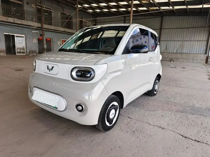 Wuling Hongguang MINIEV 2024 Model 215km Youth Edition Lithium Iron Phosphate