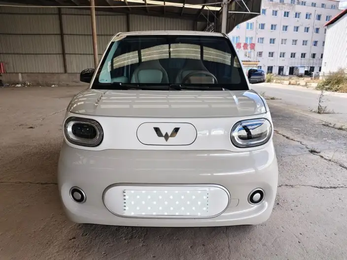 Wuling Hongguang MINIEV 2024 Model 215km Youth Edition Lithium Iron Phosphate