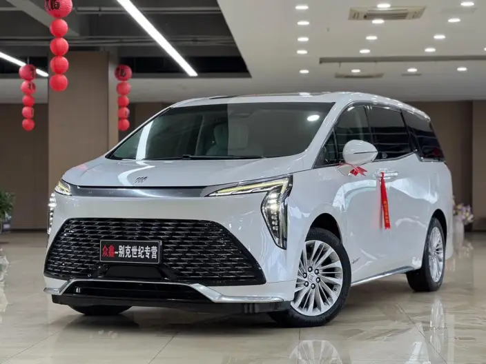 Century 2023 Model 2.0T VI seat Yunshi Edition – фото 1