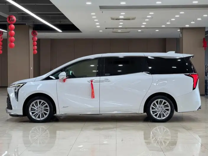 Century 2023 Model 2.0T VI seat Yunshi Edition – фото 4